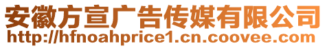 安徽方宣廣告?zhèn)髅接邢薰? style=