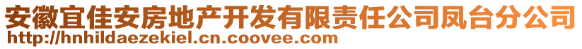 安徽宜佳安房地產(chǎn)開發(fā)有限責(zé)任公司鳳臺(tái)分公司