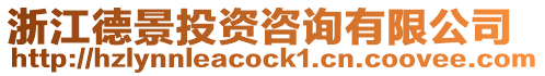 浙江德景投資咨詢有限公司