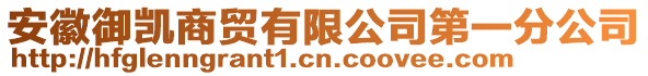 安徽御凱商貿(mào)有限公司第一分公司