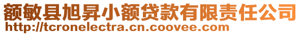 額敏縣旭昇小額貸款有限責任公司