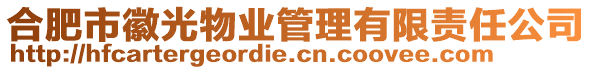 合肥市徽光物業(yè)管理有限責(zé)任公司