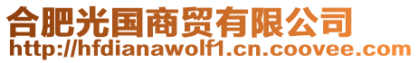 合肥光國(guó)商貿(mào)有限公司