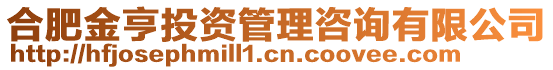 合肥金亨投資管理咨詢有限公司