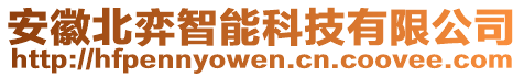 安徽北弈智能科技有限公司