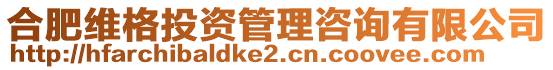 合肥維格投資管理咨詢有限公司