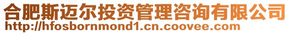 合肥斯邁爾投資管理咨詢(xún)有限公司