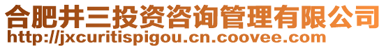 合肥井三投資咨詢管理有限公司