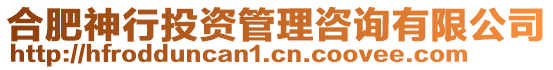 合肥神行投資管理咨詢有限公司