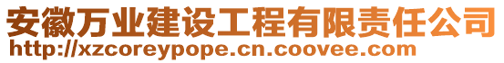 安徽萬業(yè)建設(shè)工程有限責(zé)任公司