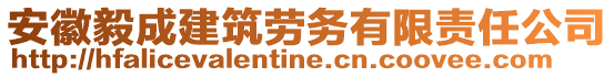 安徽毅成建筑勞務(wù)有限責(zé)任公司