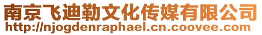 南京飛迪勒文化傳媒有限公司
