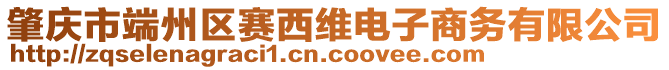 肇慶市端州區(qū)賽西維電子商務(wù)有限公司