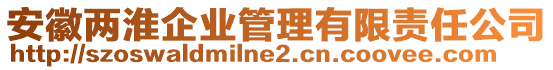 安徽兩淮企業管理有限責任公司