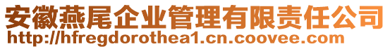 安徽燕尾企業(yè)管理有限責(zé)任公司