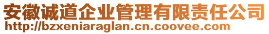 安徽誠道企業(yè)管理有限責任公司