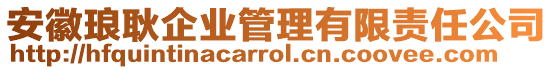 安徽瑯耿企業(yè)管理有限責(zé)任公司