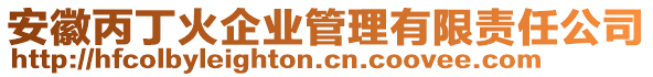 安徽丙丁火企業(yè)管理有限責(zé)任公司