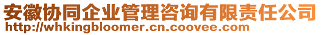 安徽協(xié)同企業(yè)管理咨詢有限責(zé)任公司