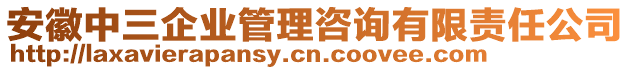 安徽中三企業(yè)管理咨詢有限責(zé)任公司