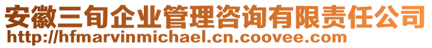 安徽三旬企業(yè)管理咨詢有限責(zé)任公司