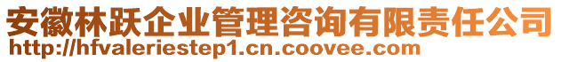 安徽林躍企業(yè)管理咨詢有限責任公司