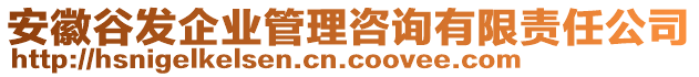 安徽谷發(fā)企業(yè)管理咨詢(xún)有限責(zé)任公司