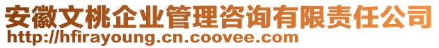 安徽文桃企業(yè)管理咨詢有限責(zé)任公司