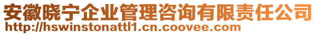 安徽曉寧企業(yè)管理咨詢有限責(zé)任公司