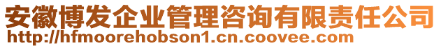 安徽博發(fā)企業(yè)管理咨詢有限責任公司