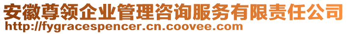 安徽尊領(lǐng)企業(yè)管理咨詢服務(wù)有限責(zé)任公司