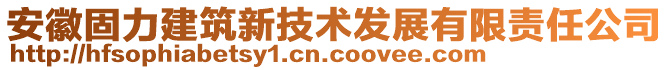 安徽固力建筑新技術(shù)發(fā)展有限責(zé)任公司