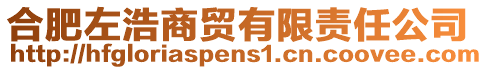 合肥左浩商貿(mào)有限責任公司