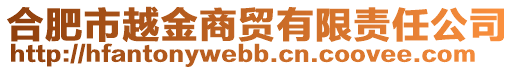 合肥市越金商貿(mào)有限責(zé)任公司