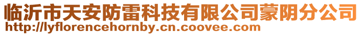 臨沂市天安防雷科技有限公司蒙陰分公司