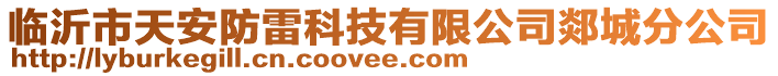 臨沂市天安防雷科技有限公司郯城分公司