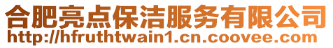 合肥亮點(diǎn)保潔服務(wù)有限公司