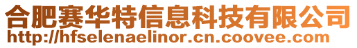 合肥賽華特信息科技有限公司
