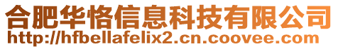 合肥華恪信息科技有限公司