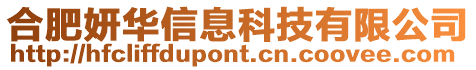 合肥妍華信息科技有限公司