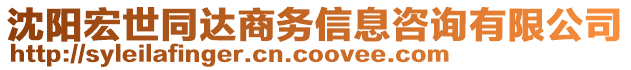 沈陽(yáng)宏世同達(dá)商務(wù)信息咨詢有限公司