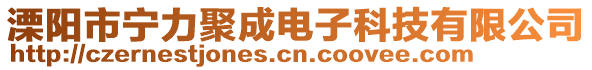 溧陽市寧力聚成電子科技有限公司