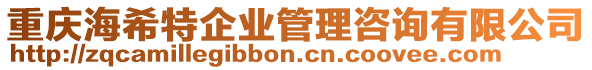 重慶海希特企業(yè)管理咨詢有限公司