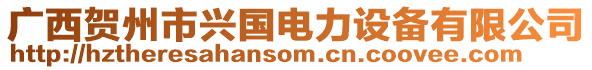 廣西賀州市興國電力設備有限公司