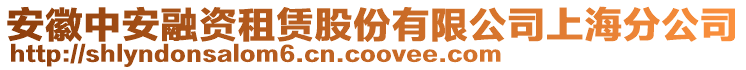 安徽中安融資租賃股份有限公司上海分公司