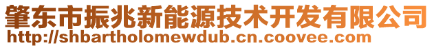 肇東市振兆新能源技術開發有限公司