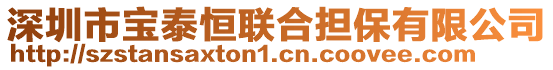 深圳市寶泰恒聯(lián)合擔(dān)保有限公司