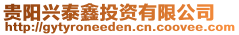 貴陽(yáng)興泰鑫投資有限公司