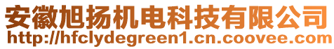 安徽旭揚(yáng)機(jī)電科技有限公司