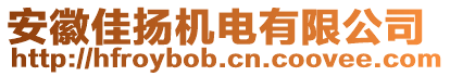 安徽佳揚機電有限公司